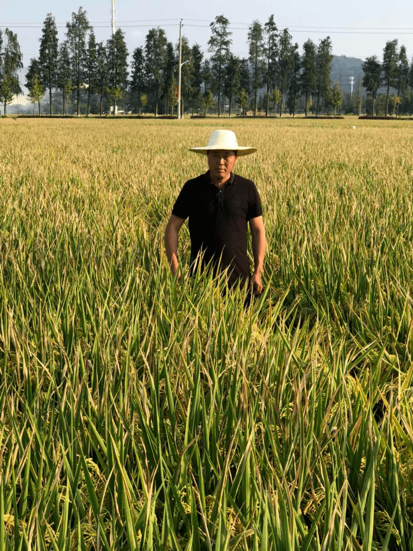 鲁北化工荣获“ESG乡村振兴金牛奖”