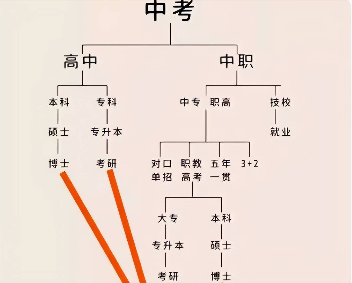 一张图揭露分流现状,差距就是这样拉开的_家长_高中_教育