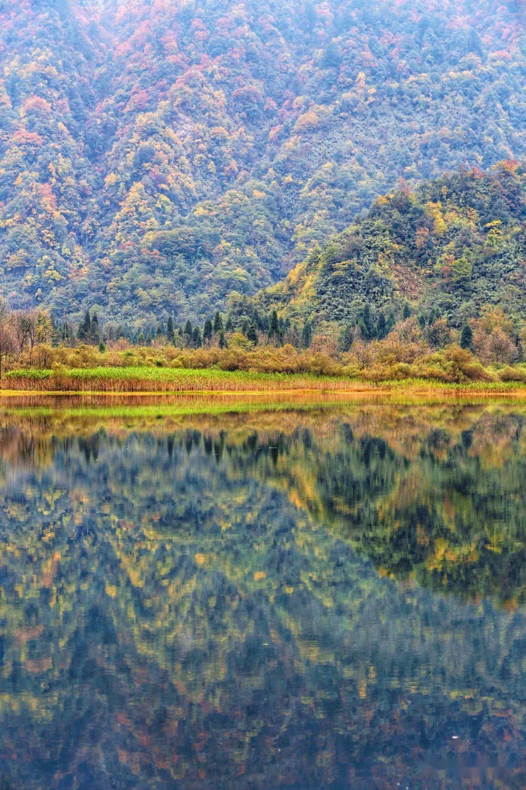 都江堰景区海拔图片