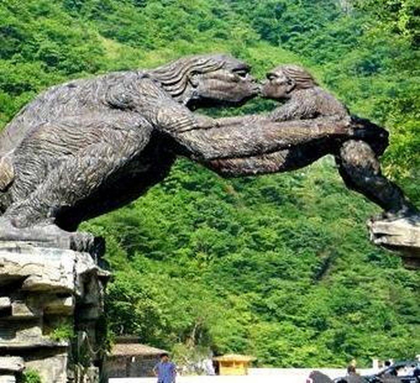 神农架惊现九头鸟,长了九个脑袋,一农民自称还见过五次,真的存在?