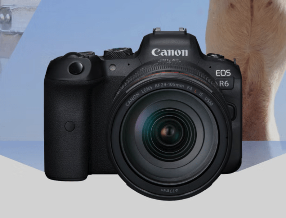 佳能新款 EOS R6 II 相机售价曝光:单机身约 18000 元_支持_画幅_方面