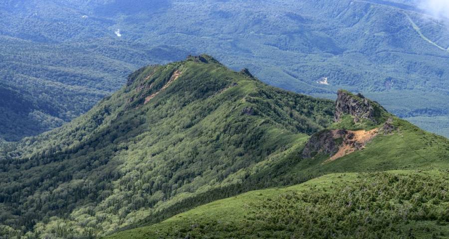 家电企业三季报藏隐忧,长虹海信格力方太科沃斯加速抢夺新赛道-家电圈官网