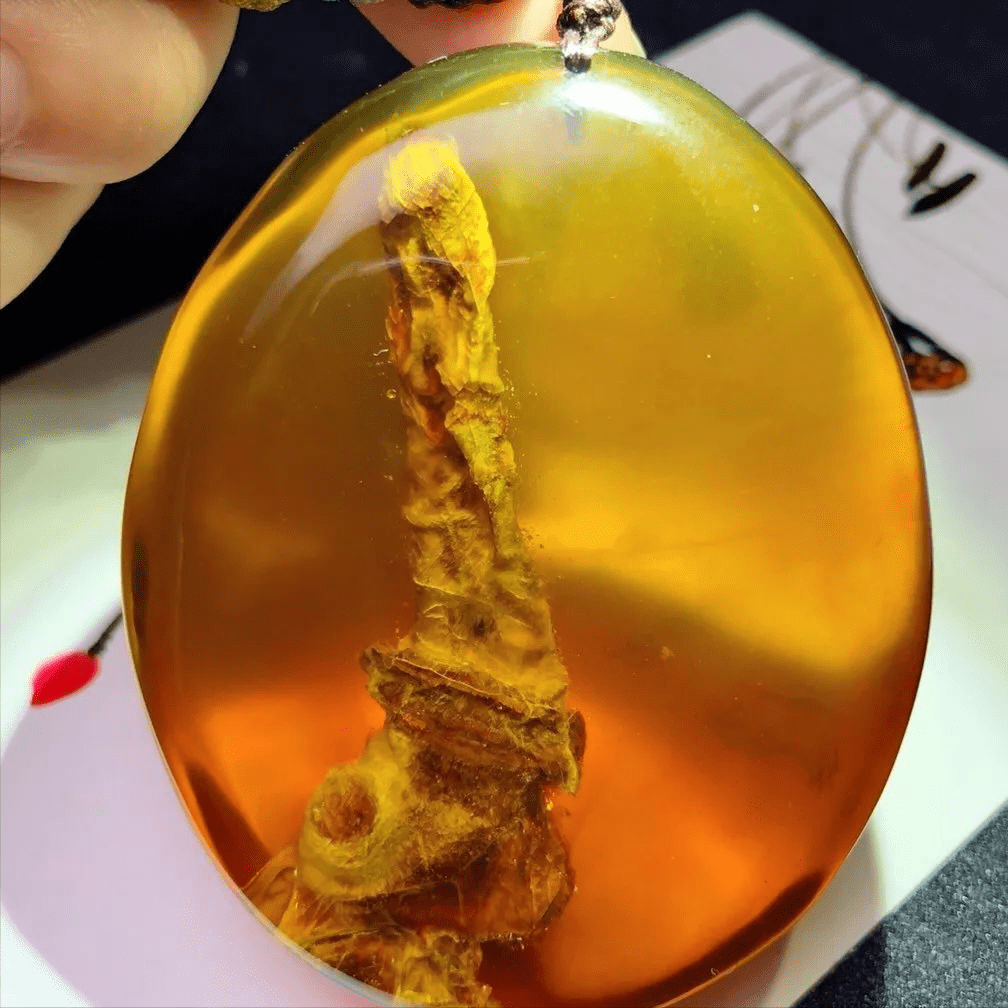 究竟什么样的琥珀,才是值得收藏的好琥珀?_颜色_价值_原料