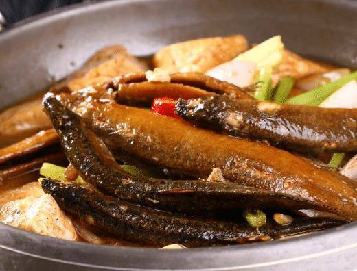 咸排骨豆腐炖泥鳅,吃起来鲜香软糯,好吃!_菜肴_冻豆腐_进行