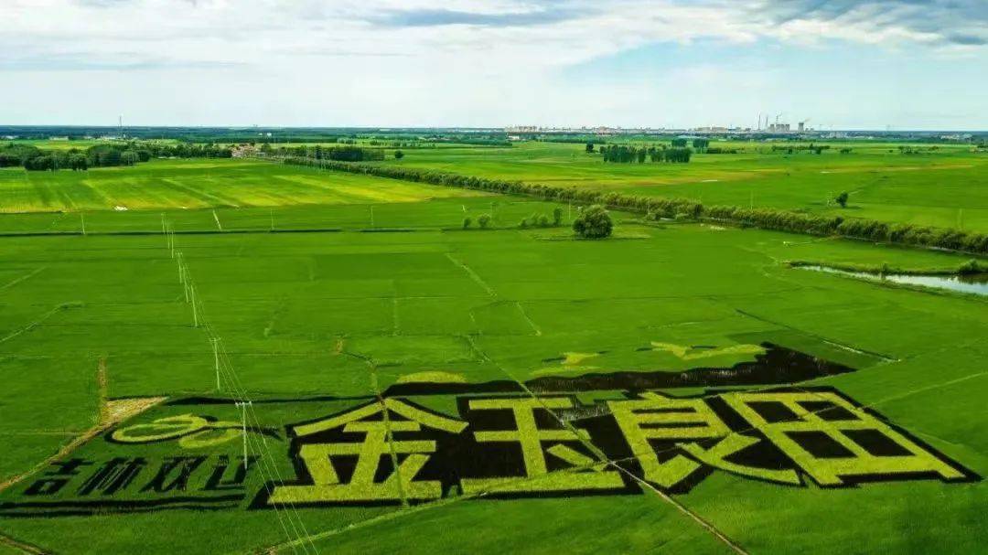 「四平发布」夜读 | 秀金田园风景线_双辽_良村_乡村