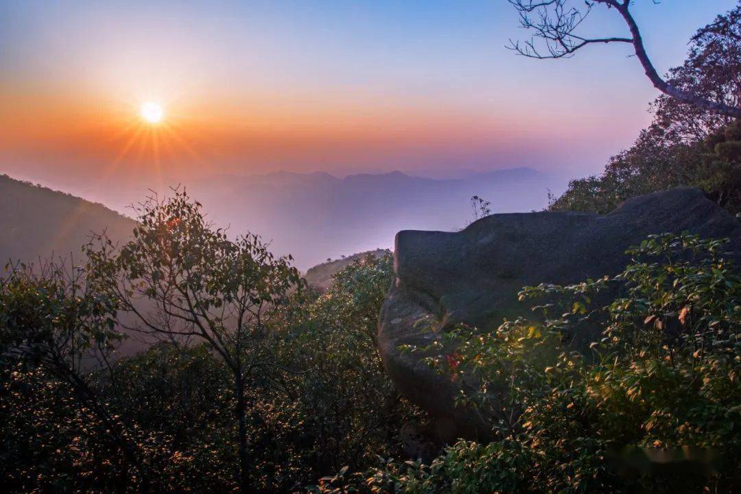 华安贡鸭山 | 摄影爱好者的观鸟天堂_鸟儿_生态_坑道