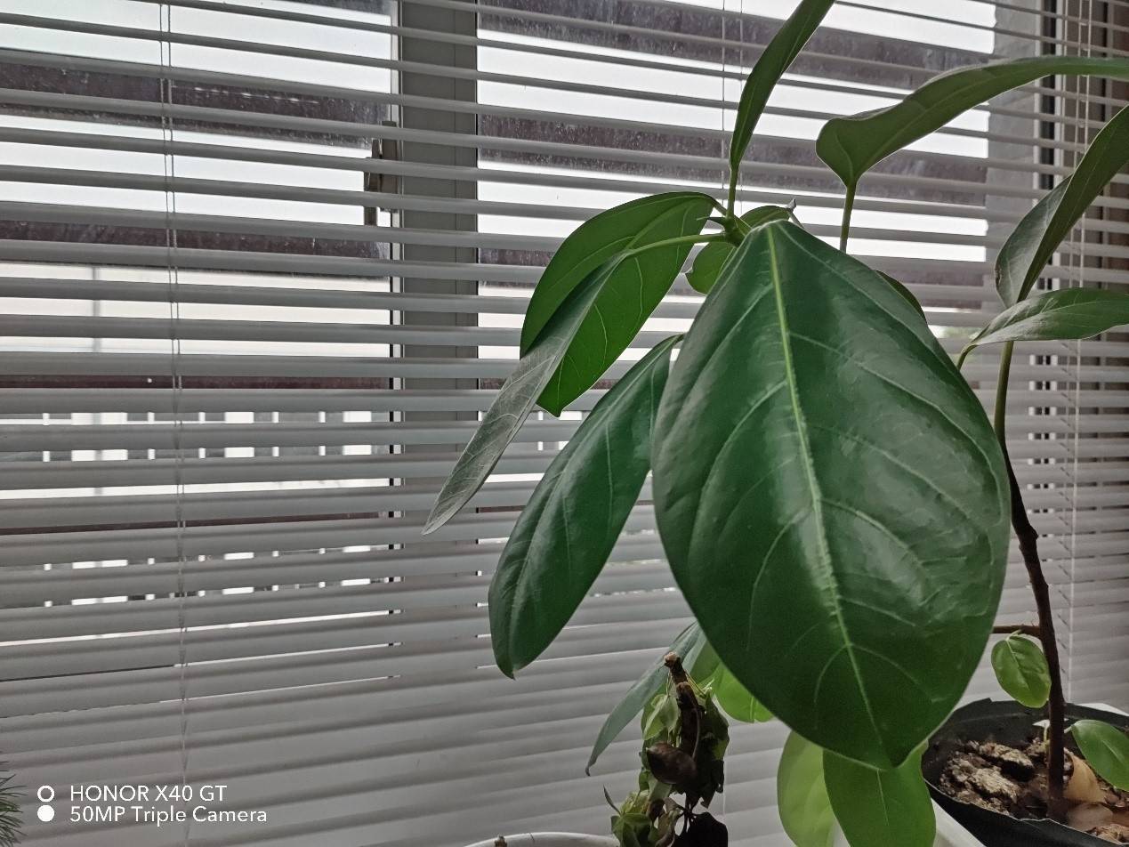 1999起主打性价比,荣耀新机X40 GT游戏手机开箱测评