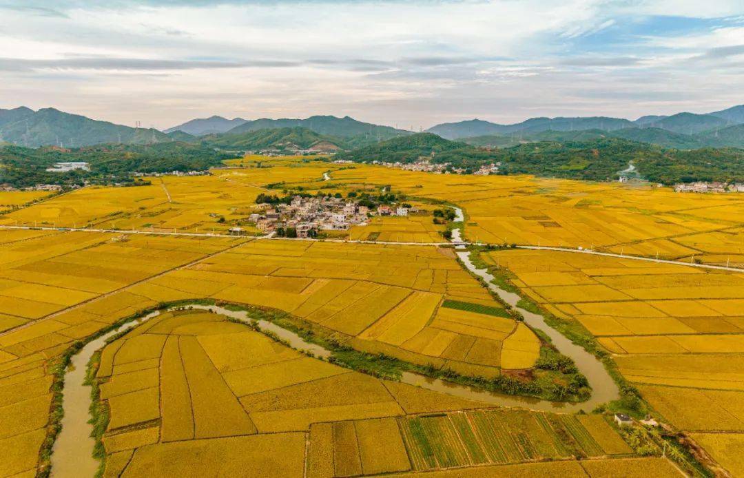 【乡村振兴】惠东:全力打造惠州湾"海洋客厅" 力争重返一流行列_稔山