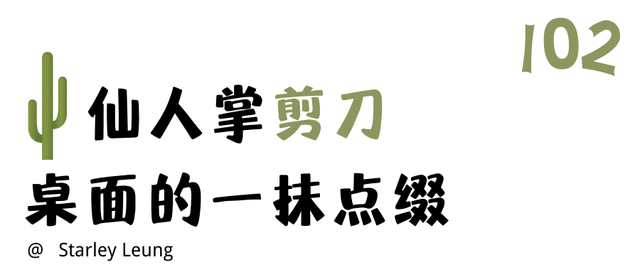 “仙人掌+设想”的100种可能性，治愈灵感干涸症