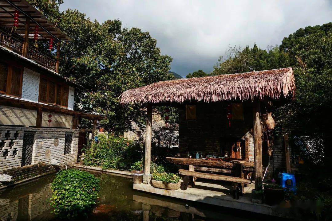 青田:中国田鱼村风貌_稻田_鄱阳_石雕