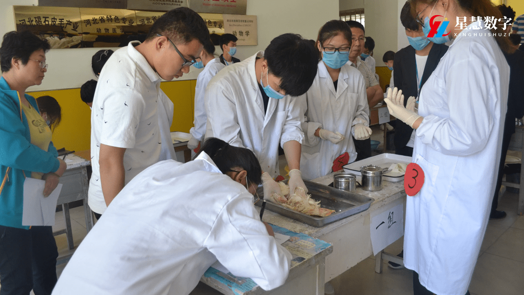 vr动物解剖实训室 打造虚拟仿真实训平台_系统_教学效果_vr