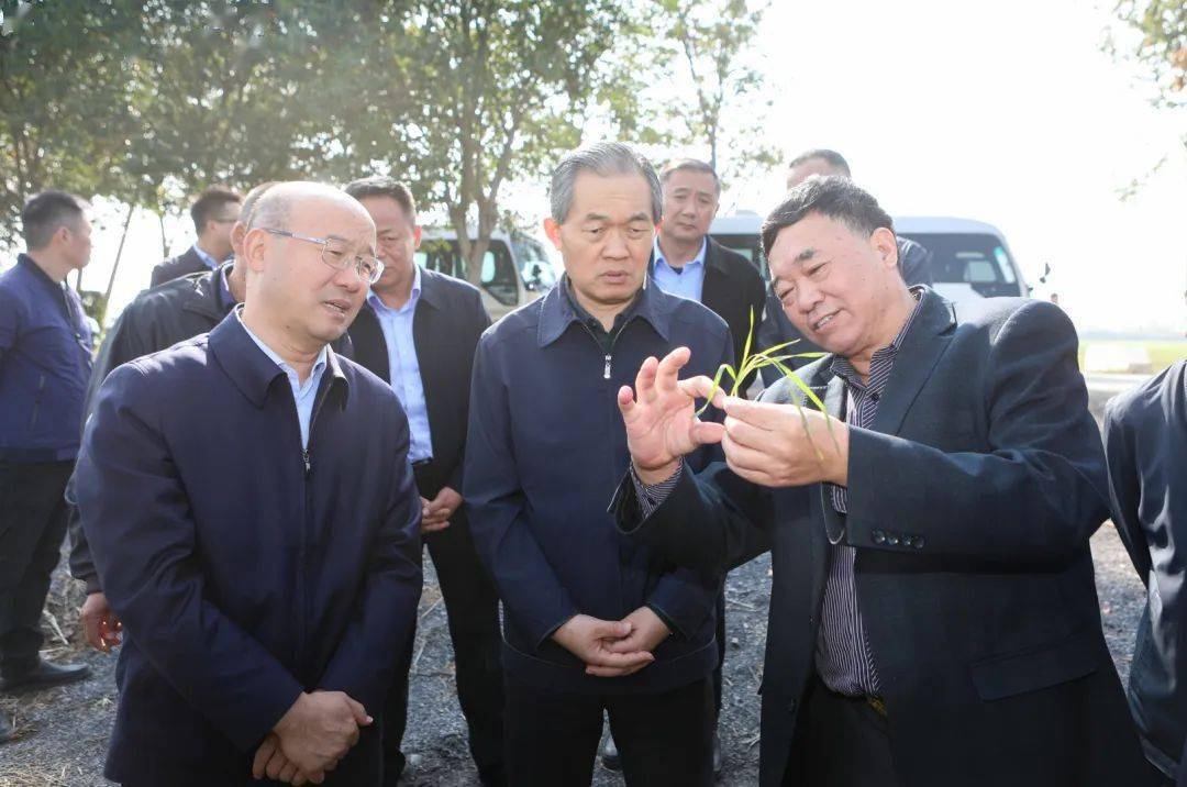 67副省长张曙光来淮调研并宣讲党的二十大精神_建设_乡村_工作