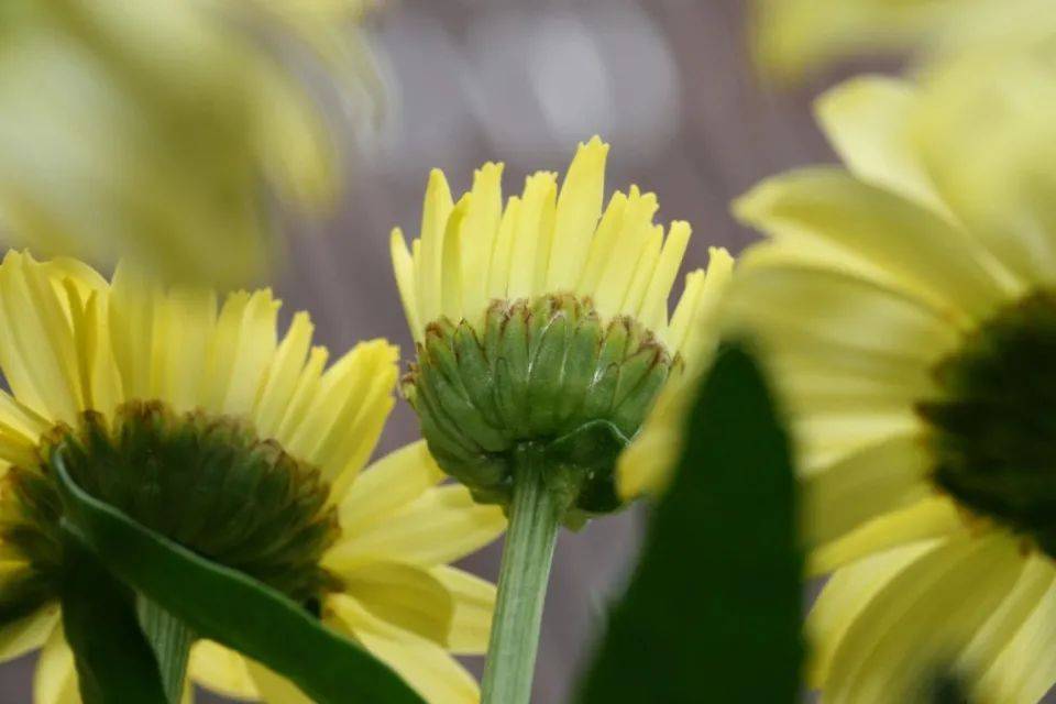 当年价格时代渠道为王,如今家电业进入用户时代-家电圈官网