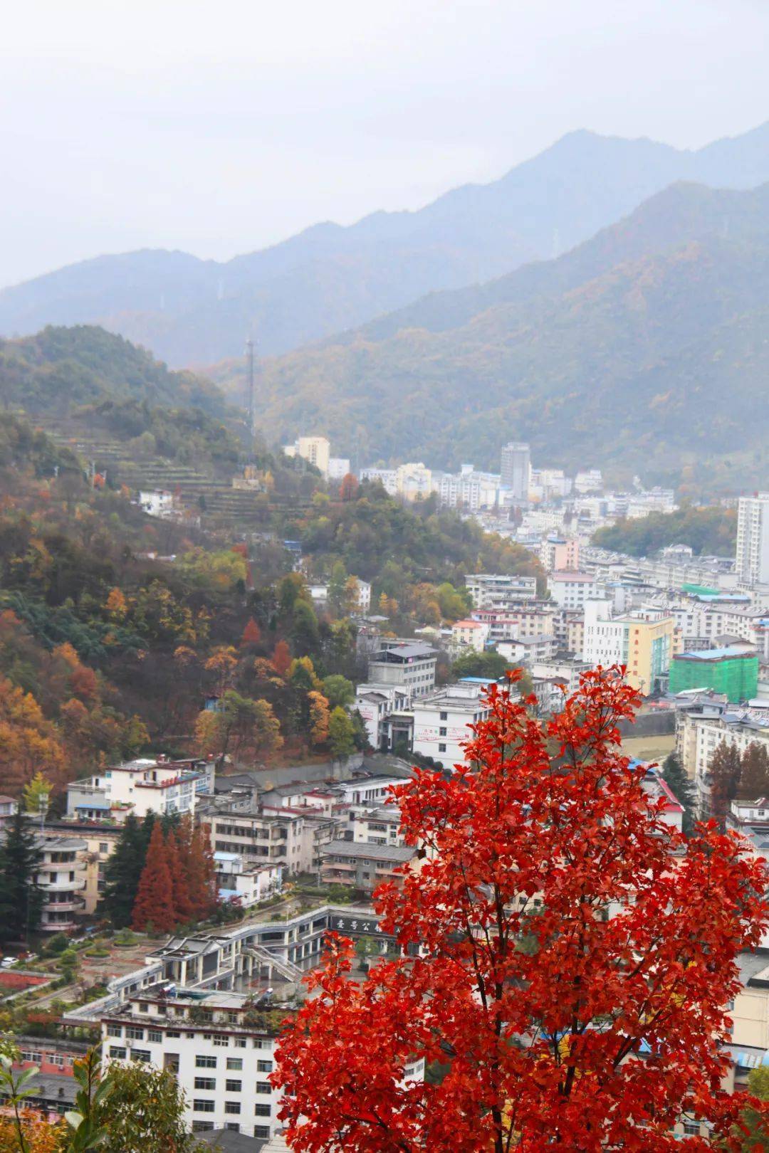 作者简介——谷雨谷雨,康县人,省作协会员,爱好文艺,旅行.