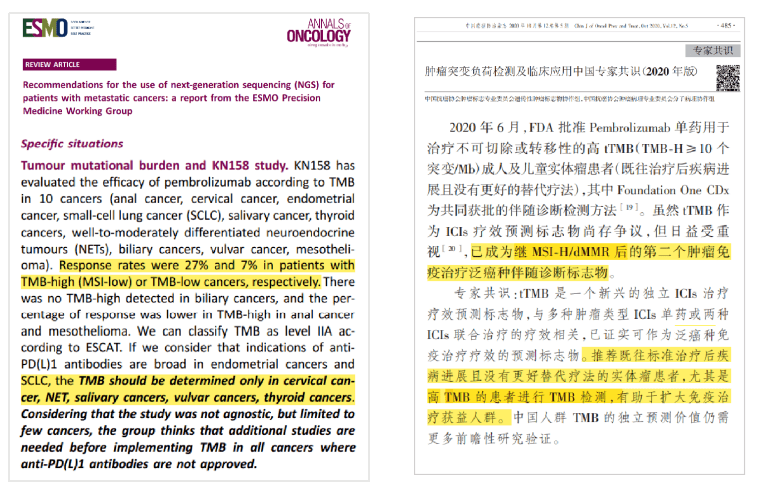 一文汇总 | 肿瘤突变负荷TMB检测常见问题