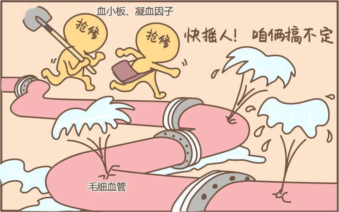 健康科普|你的身上青一块紫一块?_血管_血小板_血液