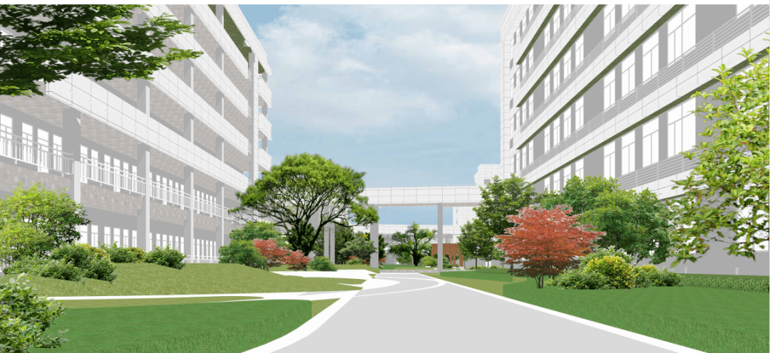 福清二中新校区建设进度来了!_项目_施工_采样