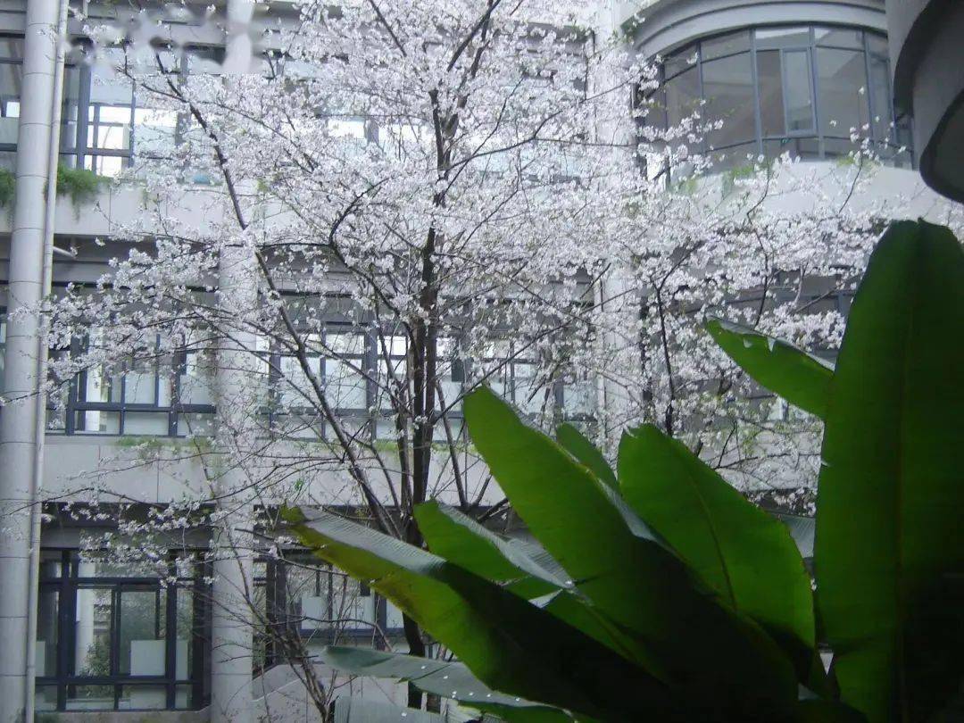 宁波效实中学(白杨校区)(投稿:陈嘉浩)宁波职业技术学院(投稿:unncer)
