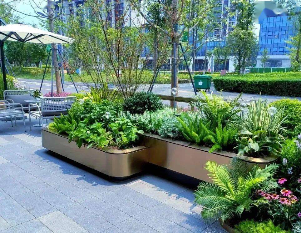 三, 乔灌木类花箱①上层以小乔木或者灌木为骨架,下层搭配绿篱或者