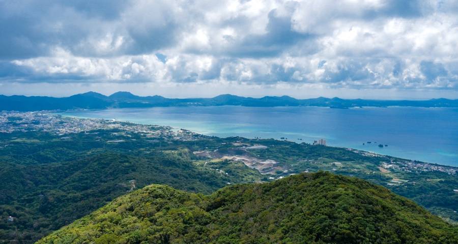 今年双11家电市场为何“静悄悄”？-家电圈官网