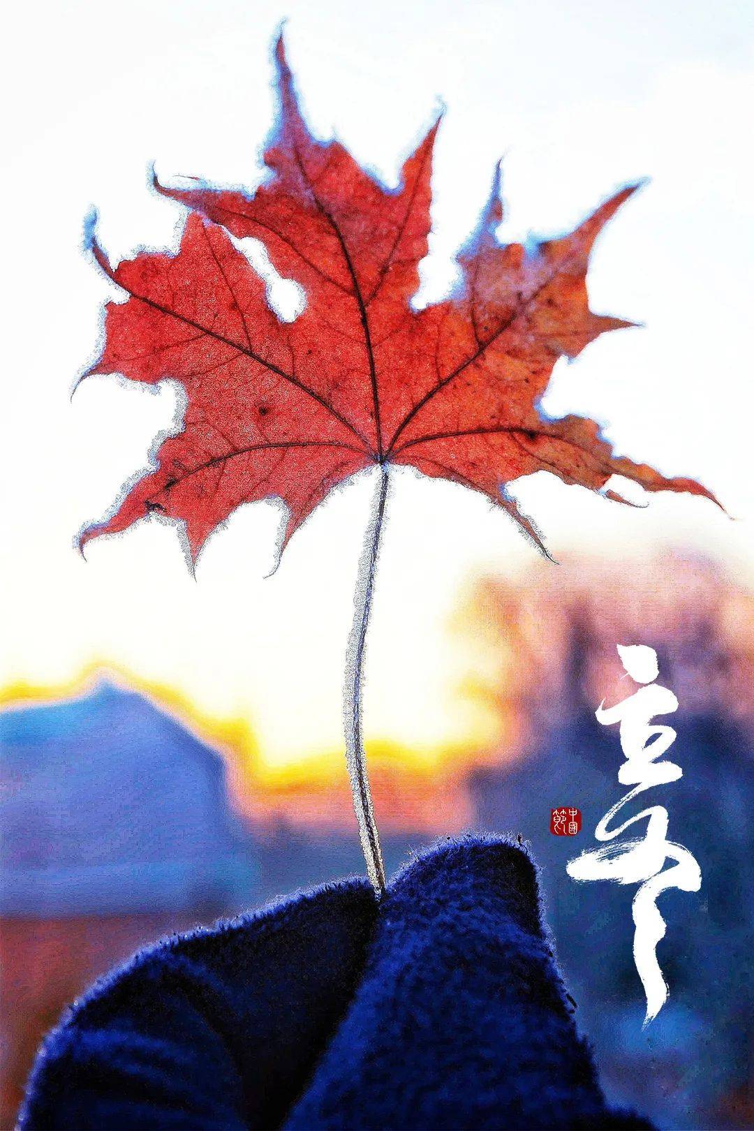 蕴蓄生机"金戈铁马"入库休息着上"黑色大衣"已收起限定款"金色皮肤"