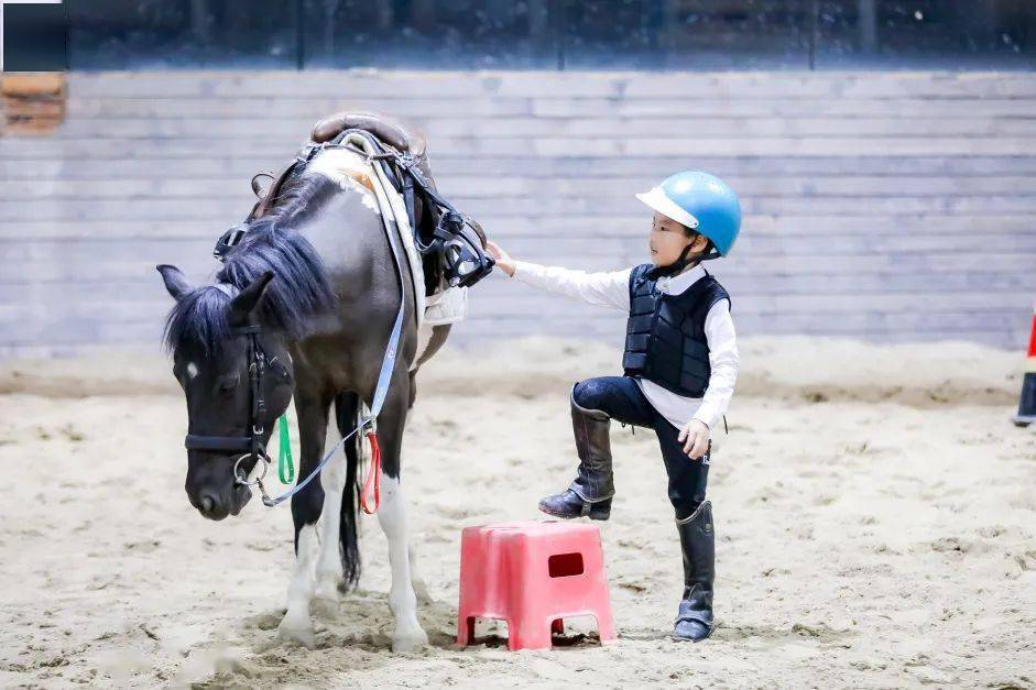 慈溪校区丨2022年度法国galop马术等级考试_青少年_国际视野_地址