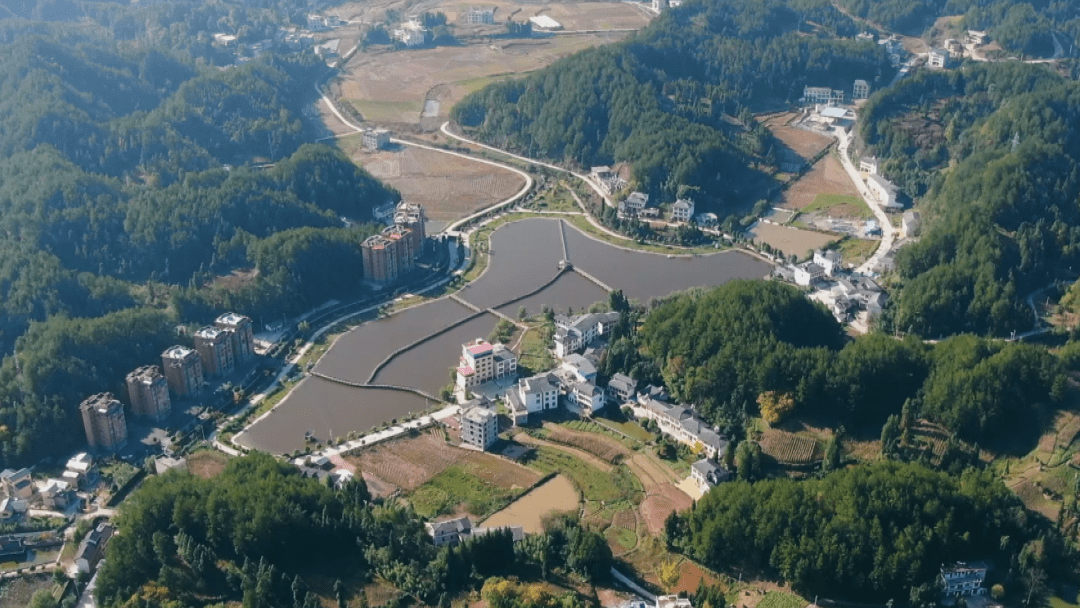 直播_柏杨坝镇_利川市