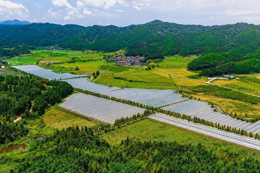 宜黄现代农业打造富美乡村_发展_尹文_示范园