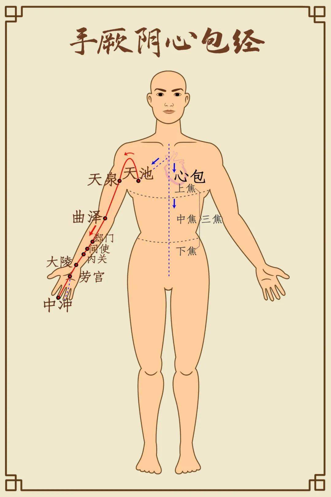 (干货收藏贴)_线路_经络_黄帝内经