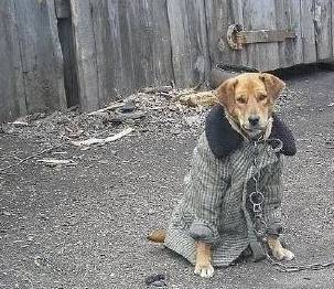 原创
            搞笑图片gif幽默段子：天气冷了各位单身狗要记得给自己加件衣服
                
                 
