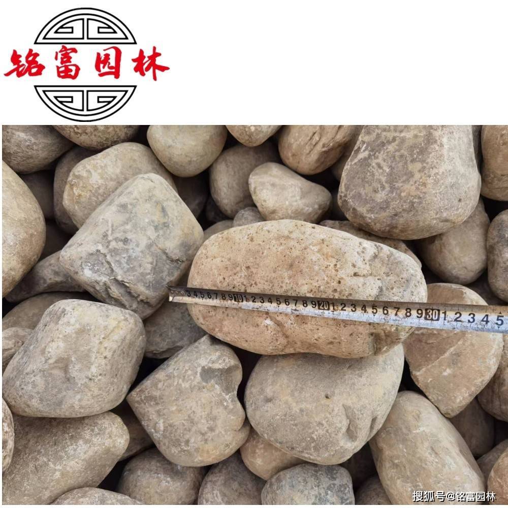 这都可以（鹅卵石价格厂家直销）这种鹅卵石一般多少钱鹅卵石价格，(图7)