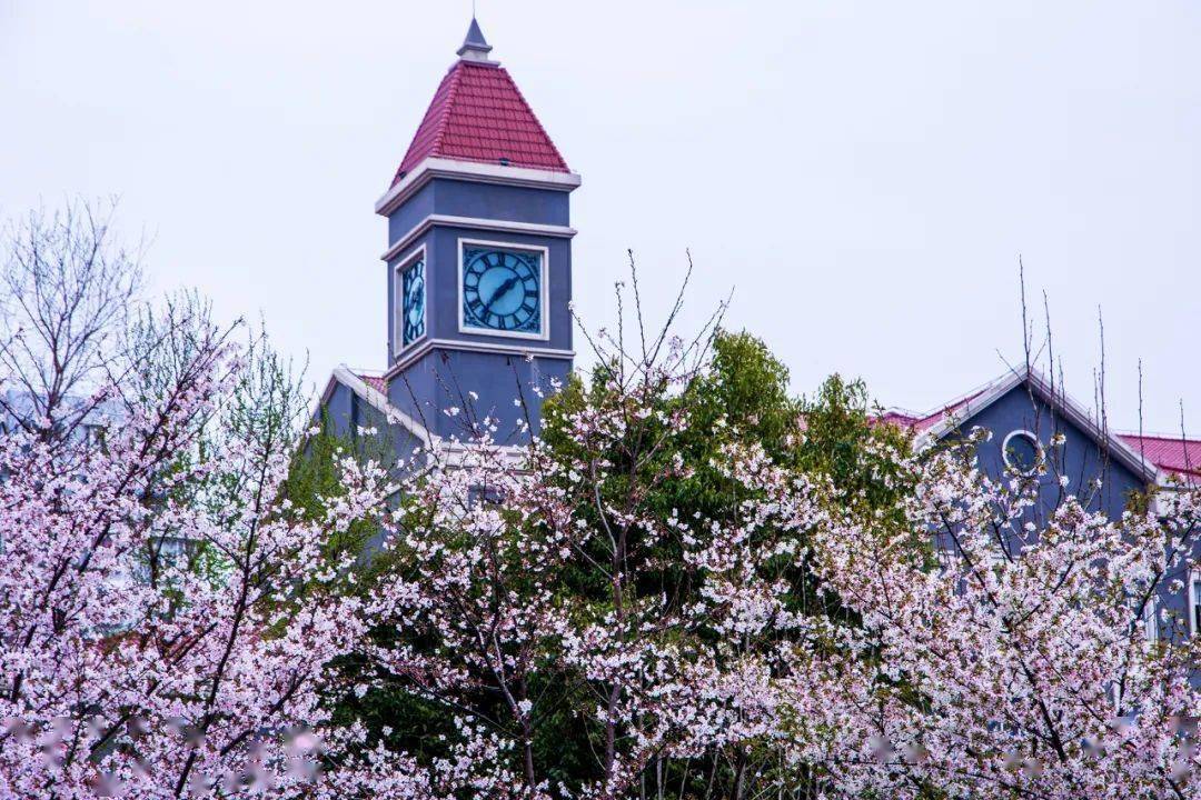 留学甘泉 圆梦未来——上海市甘泉外国语中学外国学生部2022学年度