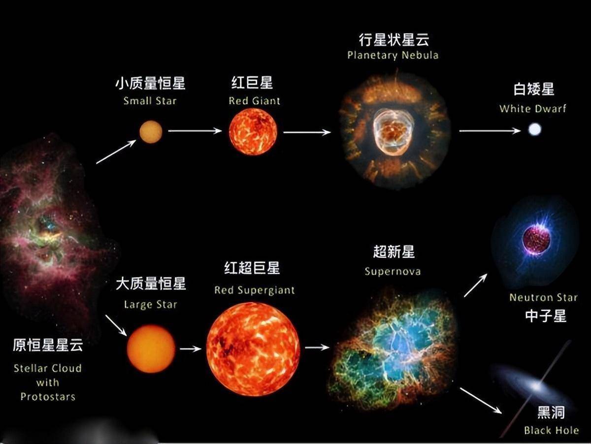 科學家找到了答案_恆星_質量_天體