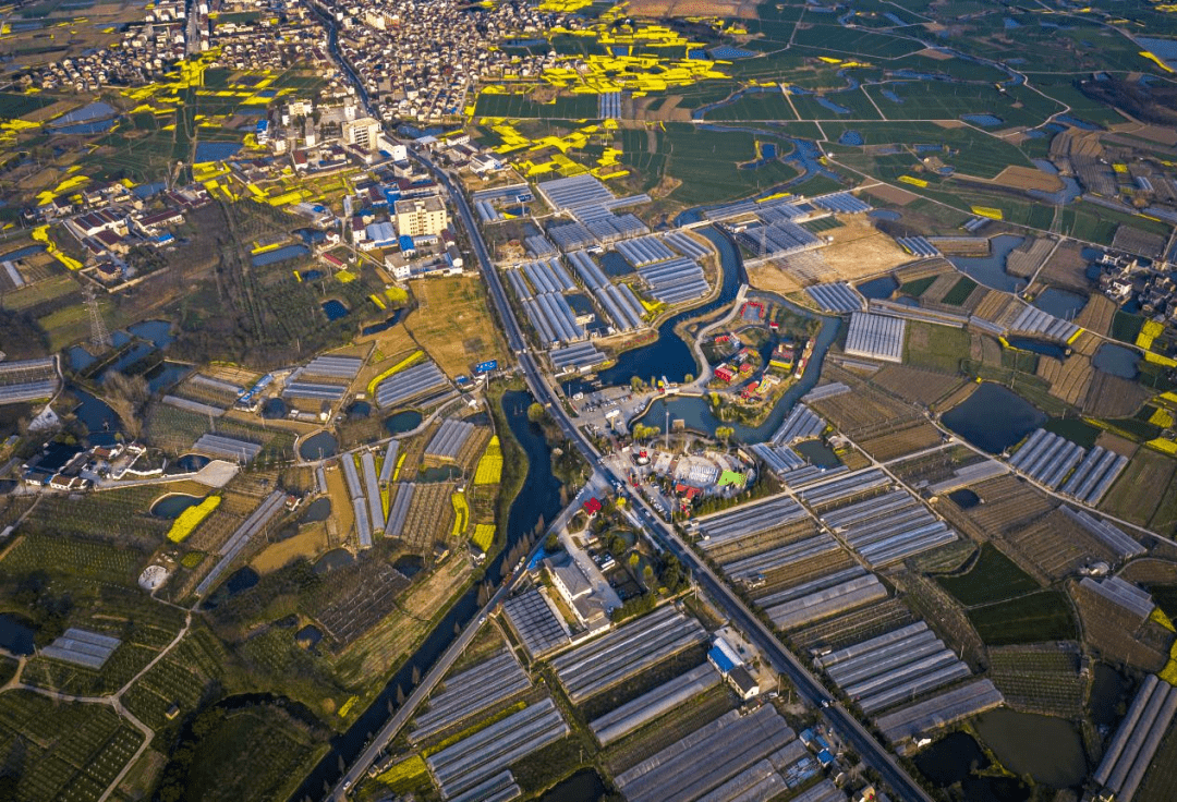 白兔镇白兔村