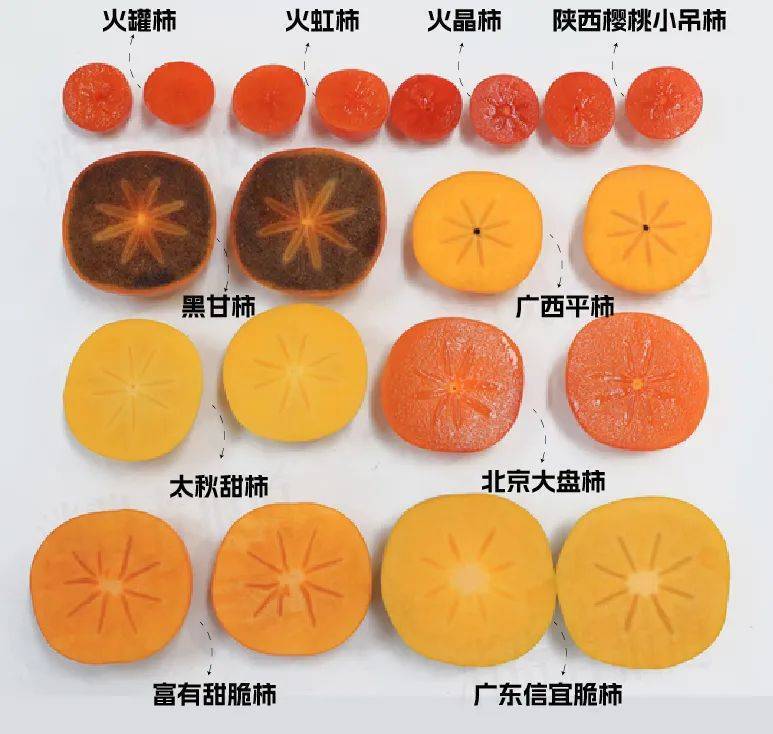 柿子 10品种柿子测评：脆柿软柿PK；近百元的“黑心柿子”在伤害谁的钱包？_搜狐网