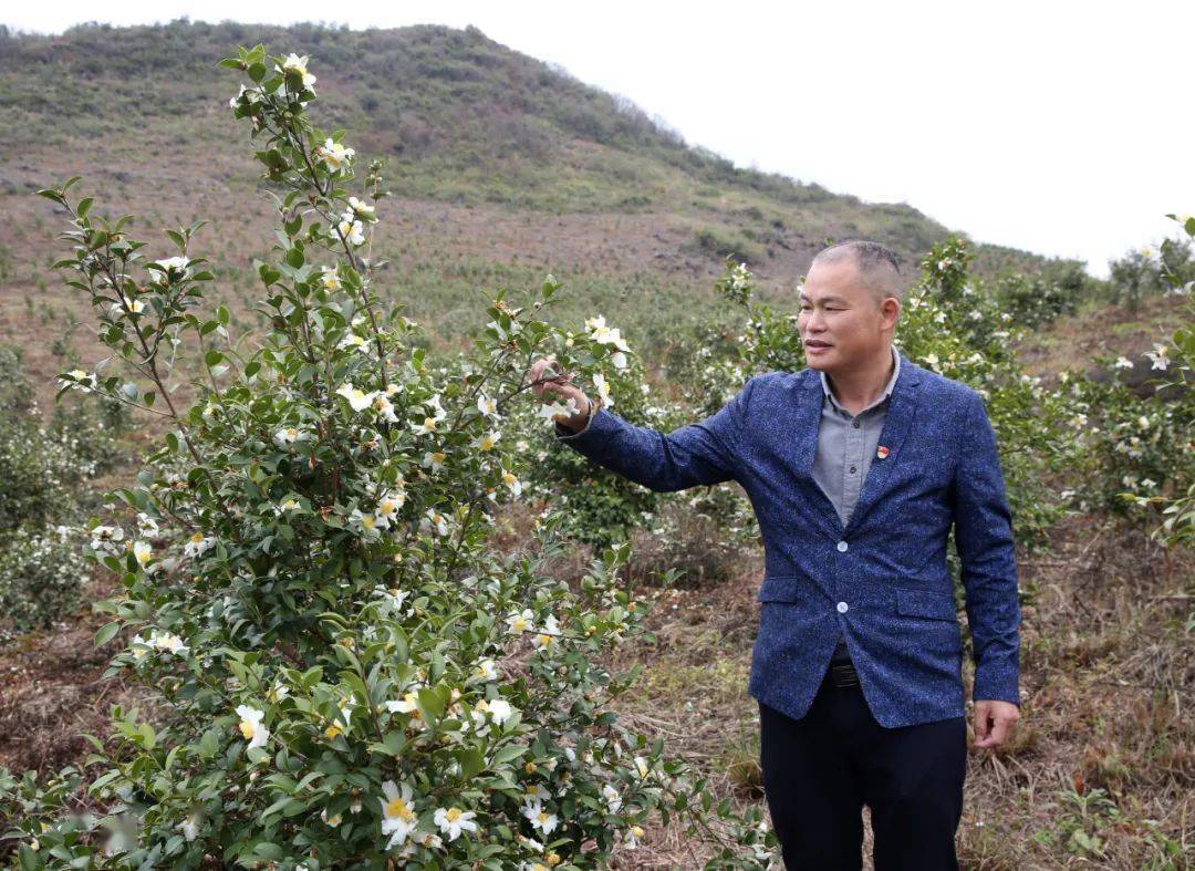 看到"秃山"变青山,"青山"生"银山",大桥镇党委书记黄祖胜甚是欣慰