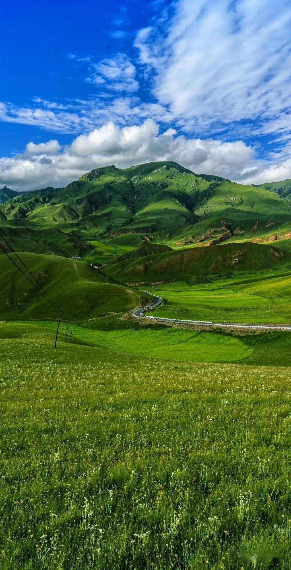 诗行祁连|峨日朵雪峰之侧——当代诗人笔下的祁连_海北_天境_梦幻