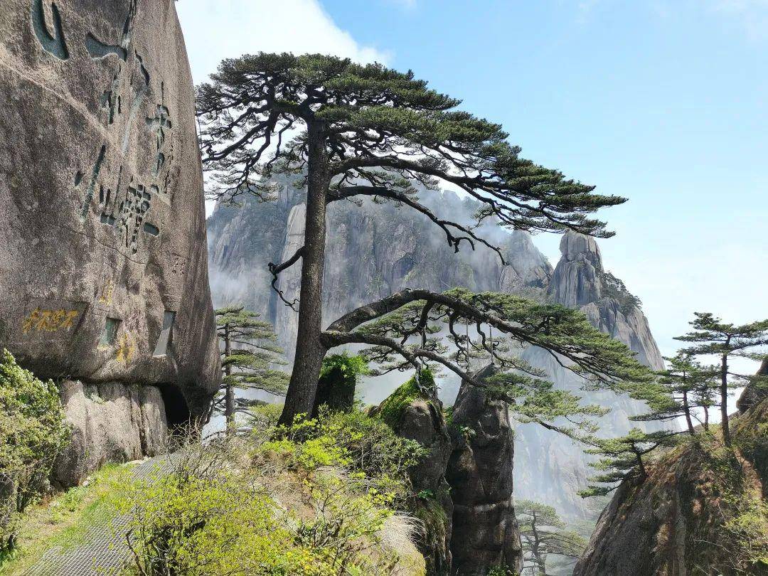 硬核推荐（黄山民俗文化旅游节）黄山风景区