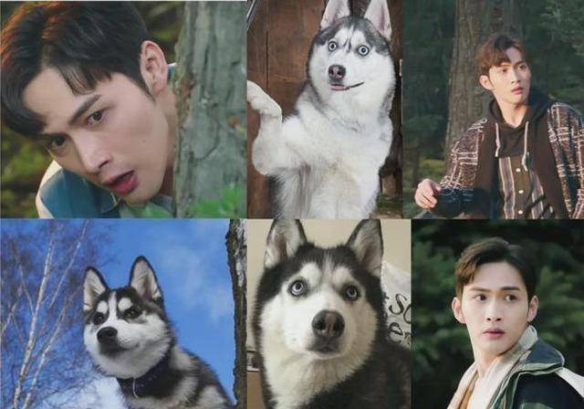 因《山河令》出圈的龚俊则是戏内戏外都撞脸"狗狗"表情包,画着红色