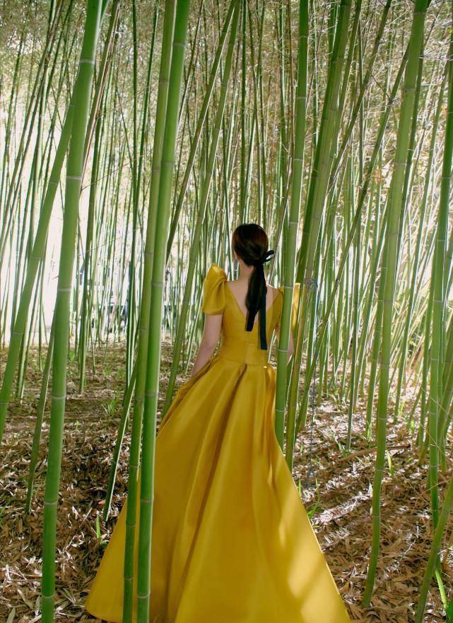 传说中的背影杀手,说的就是杨紫吧!