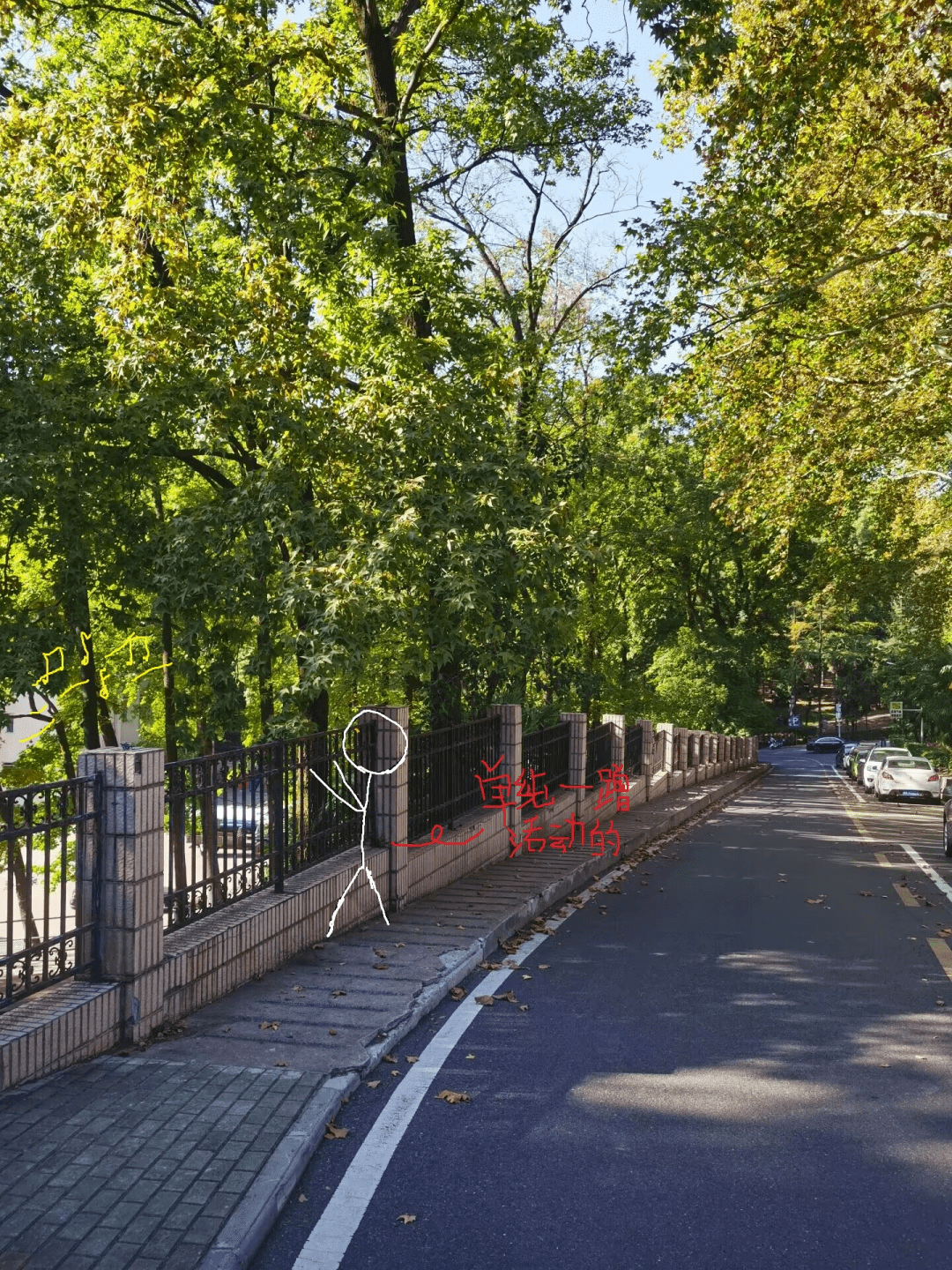 瞩目| "珞珈山坡路"二三事_武大时_活动_故事