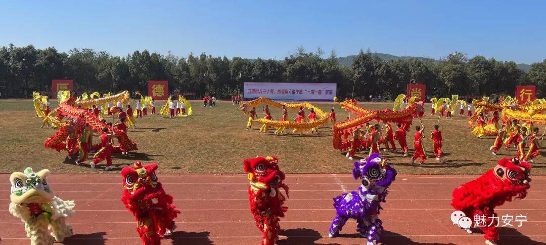 龙狮“舞”进安宁高校_文化_安宁市_千年