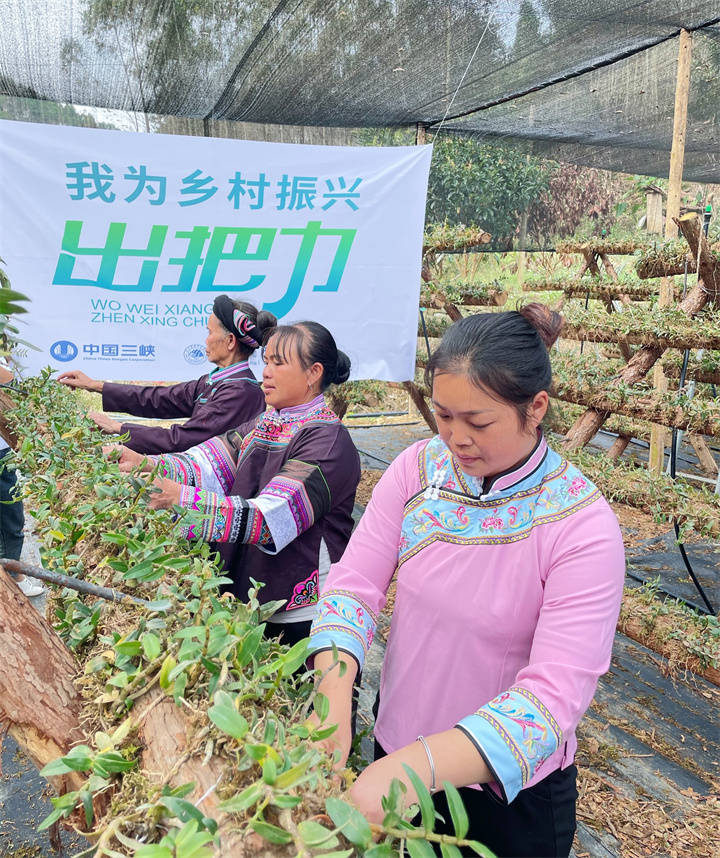 对首批20个项目进行考察验收！三峡贵州分公司推进“我为乡村振兴出把力”公益活动 帮扶 黔西南州 人才