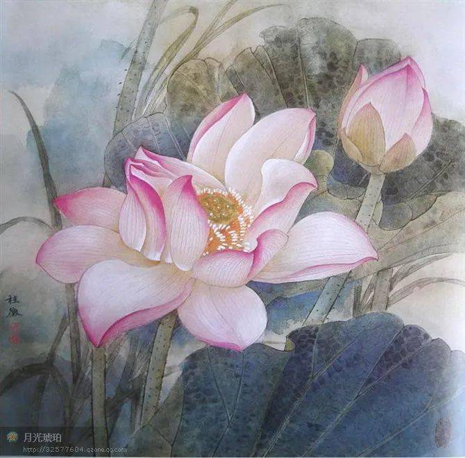 一组最美国画荷花：出淤泥而不染，濯清涟而不妖！构图和用色都很经典