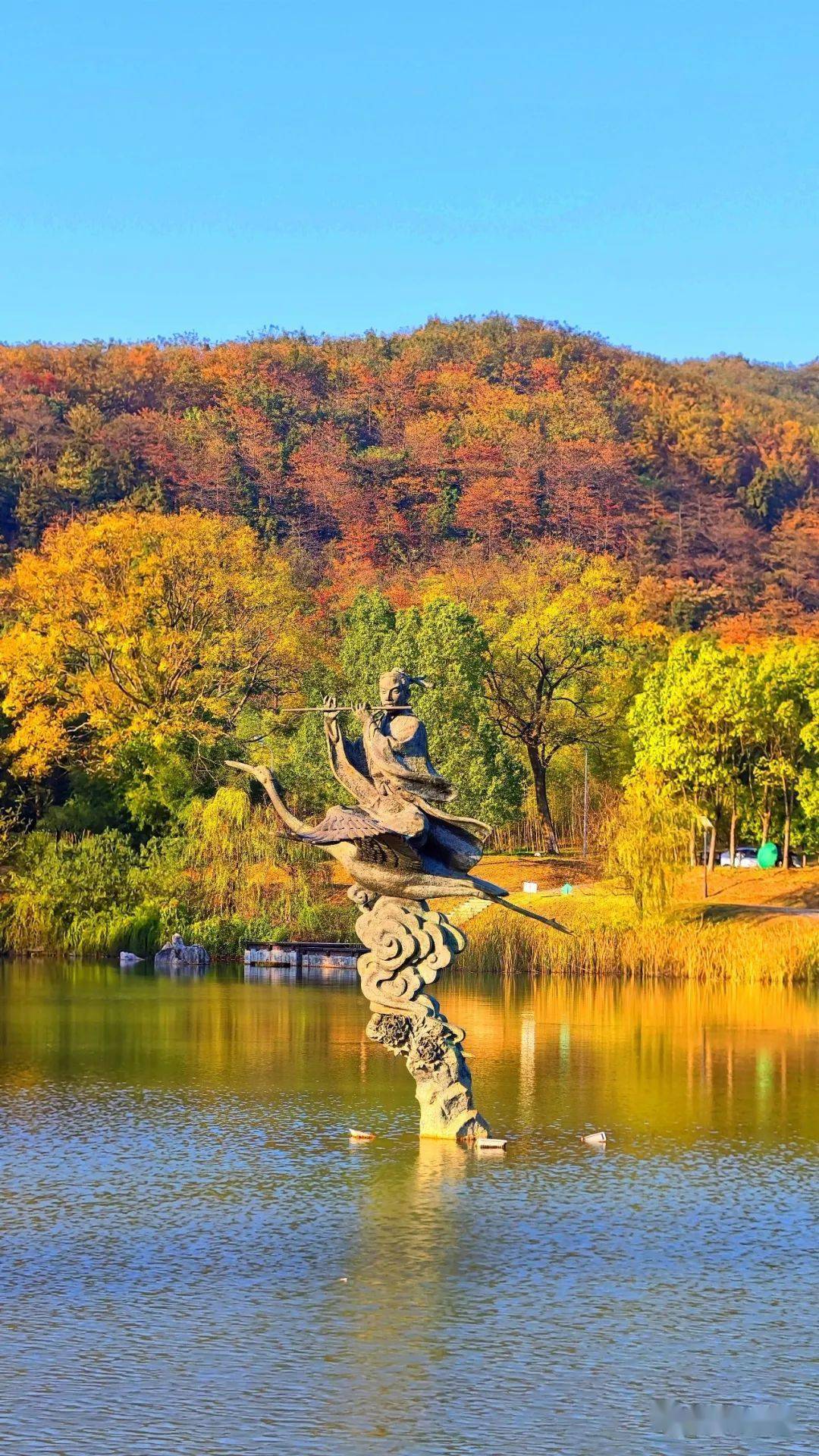 深秋初冬的敬亭山,帶給你萬般絢爛!_vol_治癒_秋景