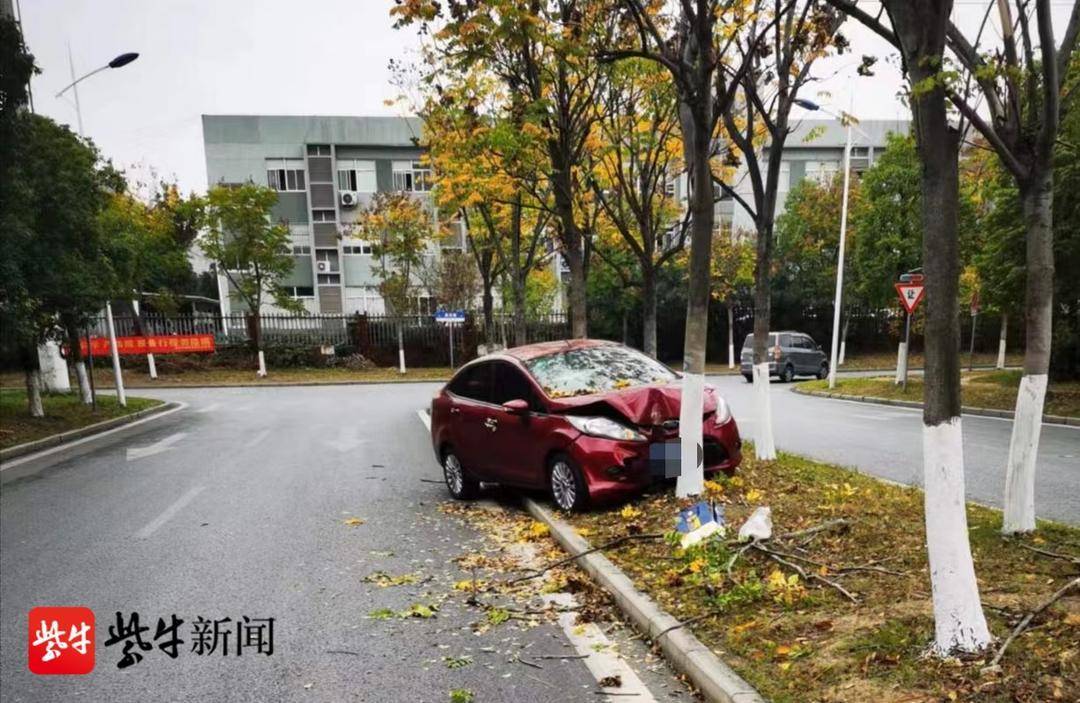 转弯车速过快,小轿车冲上中央分隔带撞上大树_贾某_瑞鑫路_办法