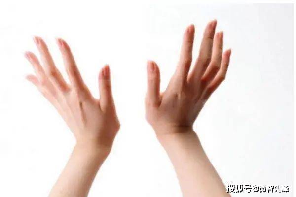 面相有这6个特征,当公务员会更好!_事业_成功者_手掌