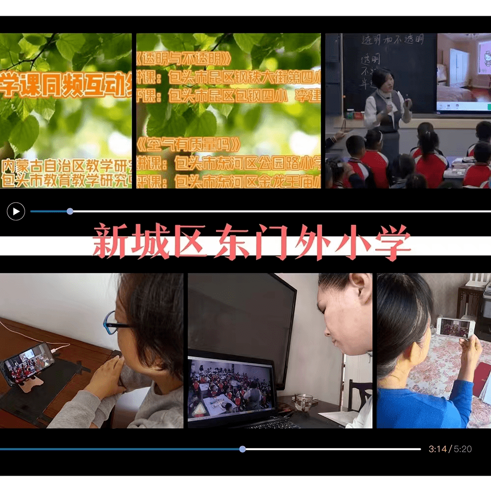 云端科学课 作业也精彩——东门外小学科学课线上教学推进纪实_设计_课堂_实验
