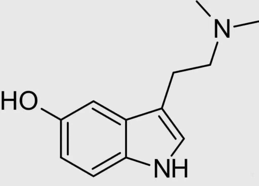 蟾蜍_毒素_毒品