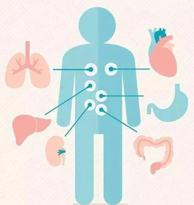 ecmo——脓毒症休克患者抢救的利器_治疗_支持_医学